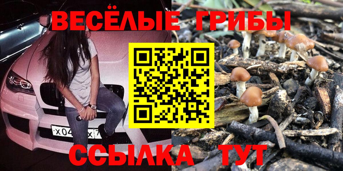 Псилоцибиновые грибы MAGIC MUSHROOMS Кстово